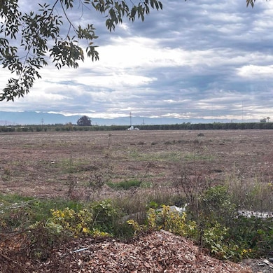 39088 Road 104, Dinuba, CA 93618 - photo 2