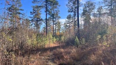 00 Cooper Pond Rd, Salley, SC 29137 - photo 3