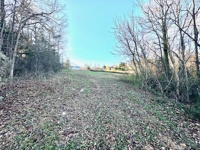 184 Spivey Creek Rd, Landrum, SC 29356 - photo 3