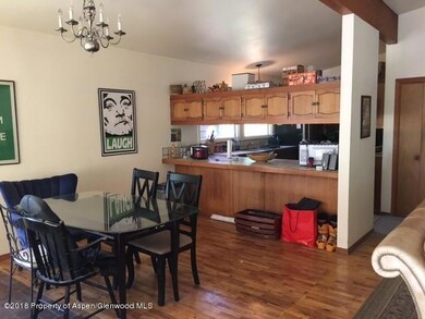 16 E Lupine Dr, Aspen, CO 81611 - photo 4