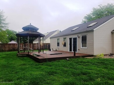 Back View