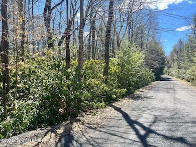 C475 Treetop Ln, Albrightsville, PA 18210 - photo 3