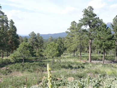 View to the North