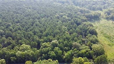Bird's eye view of a heavily wooded area