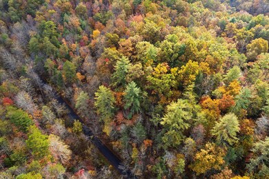 TBD Evans Chapel Rd, Sevierville, TN 37876 - photo 5