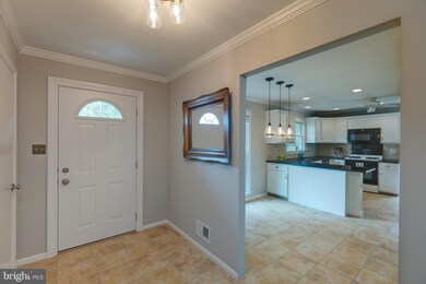 6837 Lamp Post Ln, Alexandria, VA 22306 - photo 5