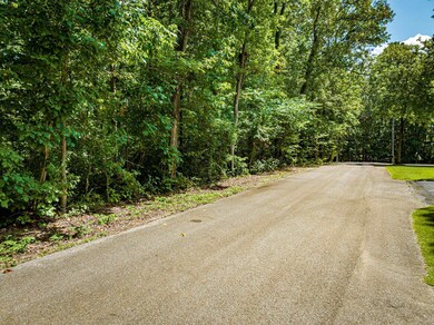 View of road