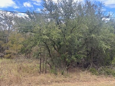 1531 White Bluff Dr, Whitney, TX 76692 - photo 4