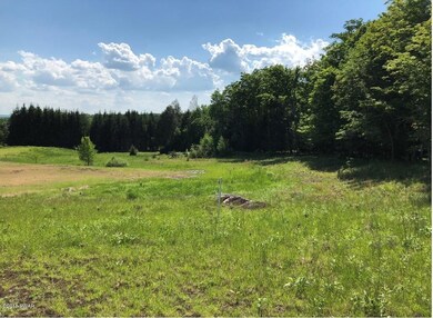 0 Goose Pond Rd unit PWB182696, Lake Ariel, PA 18436 - photo 4