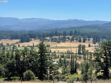 0 Harolds Rd unit 23451364, Dexter, OR 97431 - photo 4