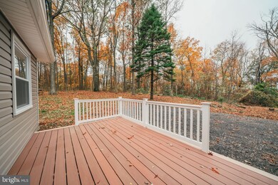 868 Luchase Rd, Linden, VA 22642 - photo 3