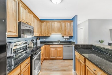 15 Summer St unit 103, Franklin, MA 02038 - photo 5