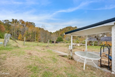 1251 Purchase Ridge Rd, Duffield, VA 24244 - photo 4