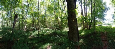 0 Quail Rd, Callands, VA 24530 - photo 4