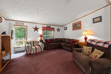 20 Dick Bradley Rd, Thornton, NH 03285 - photo 4