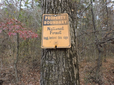 OFF Cold Spring Rd, Waldron, AR 72958 - photo 6