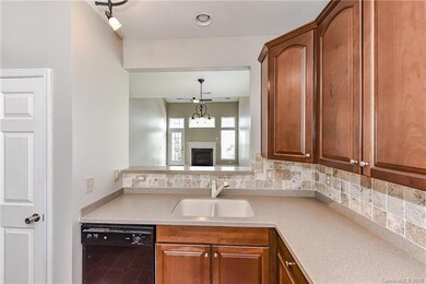 330 Berg Cir unit 119, Fort Mill, SC 29715 - photo 7