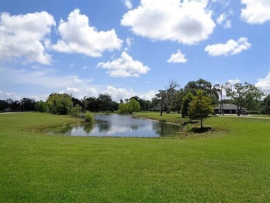 205 County Road 461b, Brazoria, TX 77422 - photo 2