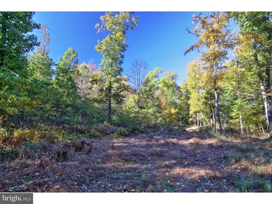 28 Woods Ln, Barto, PA 19504 - photo 2