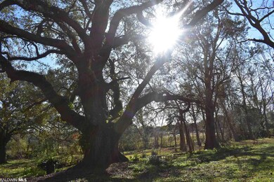 8300 Morphy Ave, Fairhope, AL 36532 - photo 2