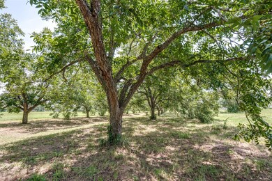 View of undeveloped land