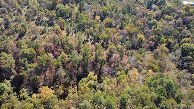 30134 S 595 Rd, Bunch, OK 74931 - photo 4