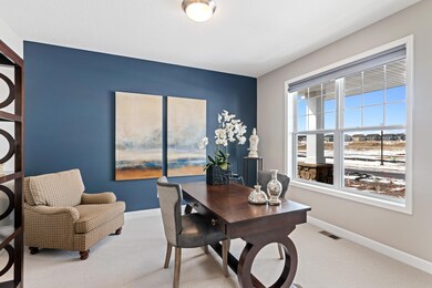 19939 65th Ave, Corcoran, MN 55340 - photo 6