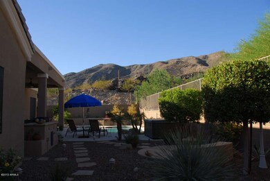 Back yard views