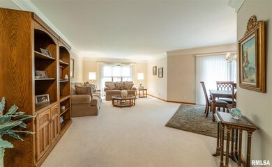 414 Peoria St, Lincoln, IL 62656 - photo 6