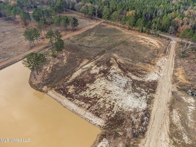 0 Sulphur Springs Rd unit 4132456, Canton, MS 39046 - photo 4