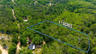 1-web-or-mls-Riverview Loop Parcel-1