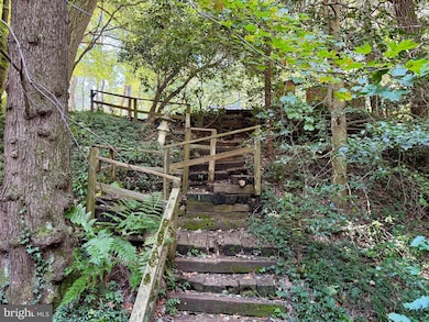 1003 Gelston Cir, McLean, VA 22102 - photo 2