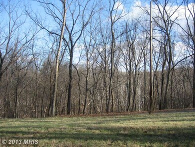 4875 River Rd, Shepherdstown, WV 25443 - photo 4