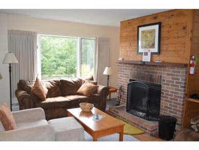 D Snowtree Lane Oaks unit D, Dover, VT 05356 - photo 5