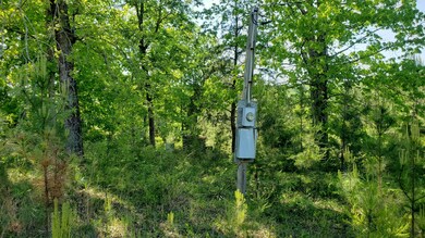 Smith Lake Lot