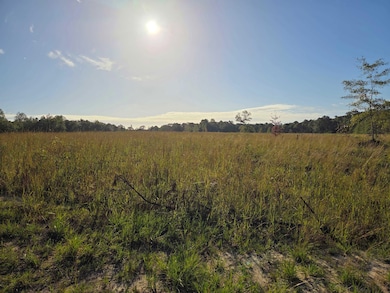 Brooks Rd, Hurtsboro, AL 36860 - photo 2