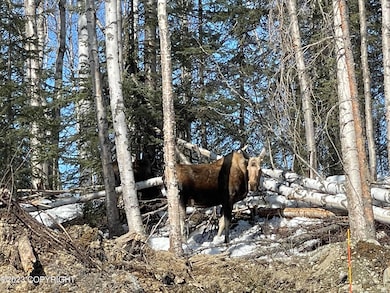 2541 W Longview Cir, Wasilla, AK 99654 - photo 5