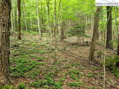 Tbd Brightwood Trail, Deep Gap, NC 28618 - photo 6