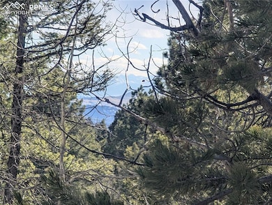 56 Rampart Cir, Florissant, CO 80816 - photo 7