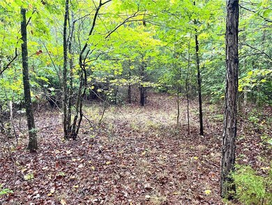 201 Bennett Farm Rd, Asheboro, NC 27205 - photo 6