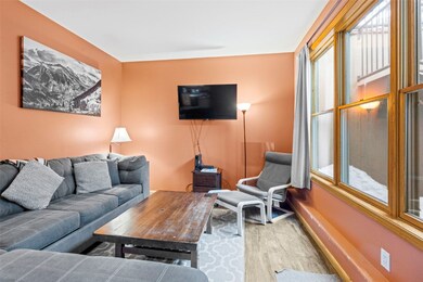 33 Broken Lance Dr unit 100S, Breckenridge, CO 80424 - photo 5