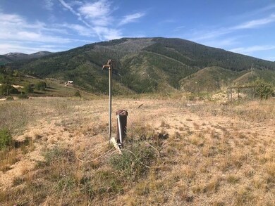 Nhn Upper Dickson Creek Rd, Conner, MT 59827 - photo 4