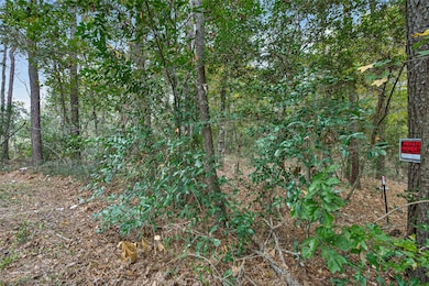 Lot 411 N Woods, Cleveland, TX 77328 - photo 2