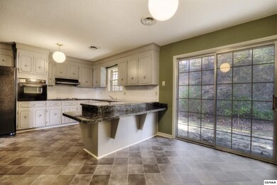 3209 Wilson St, Pigeon Forge, TN 37863 - photo 4