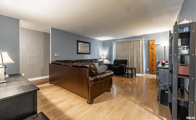 211 Rhoads Ave, Lincoln, IL 62656 - photo 3