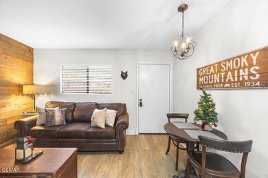 685 River Rd unit 303, Gatlinburg, TN 37738 - photo 3