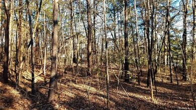 0 Crestwood Loop unit 10, Wittenburg, NC 28681 - photo 6