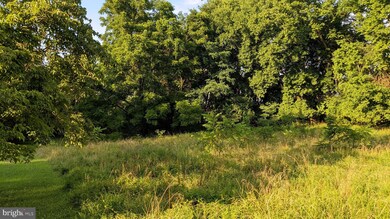 0 Twymans Mill Rd unit VAMA2000686, Orange, VA 22960 - photo 2