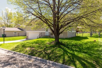 Established trees on quiet street