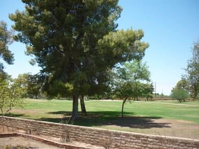 Forest golf course